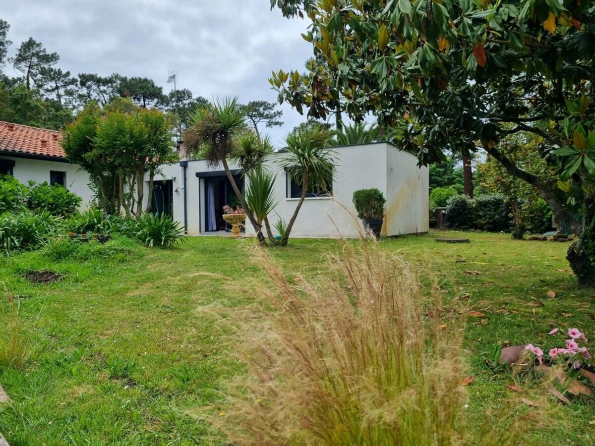 House With Heated Pool And Jacuzzi Villa Soorts-Hossegor Exterior foto