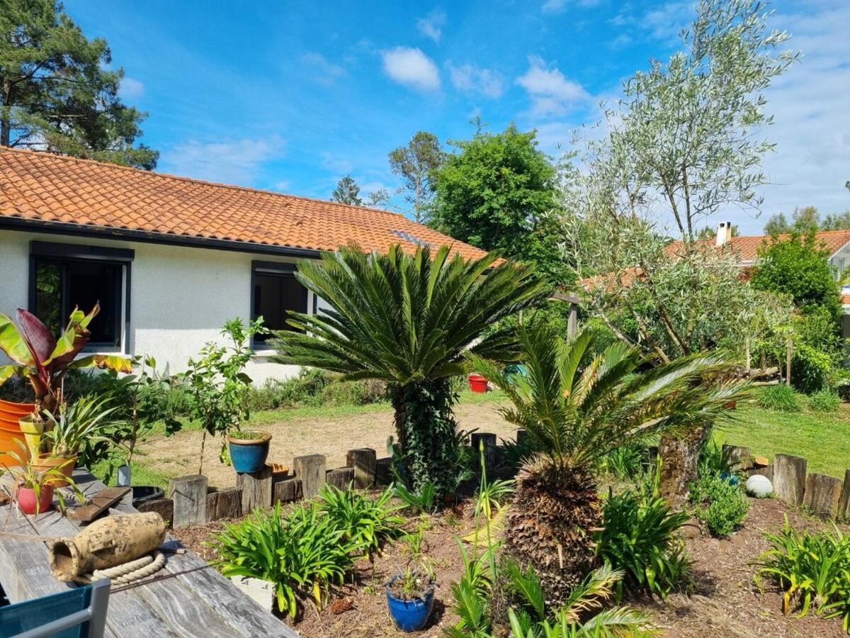 House With Heated Pool And Jacuzzi Villa Soorts-Hossegor Exterior foto